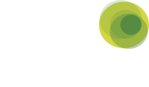Blazer Fundación